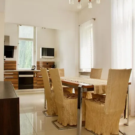 Ubytovani 1204 Na Ulici Krale Jiriho Apartment *